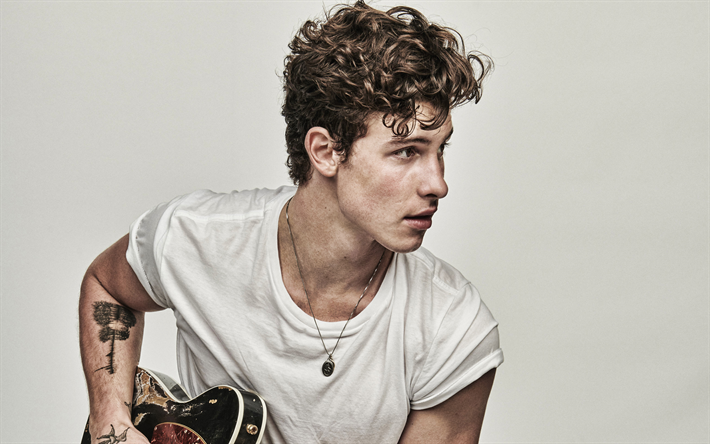 Shawn Mendes, portrait, canadian singer, photoshoot, famous singers, canadian star, Shawn Peter Raul Mendes