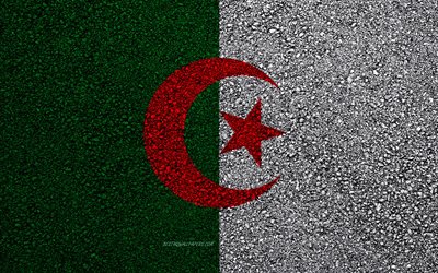 Flag of Algeria, asphalt texture, flag on asphalt, Algeria flag, Africa, Algeria, flags of African countries