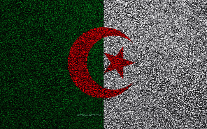 flagge von algerien -, asphalt-textur, die flagge auf asphalt, algerien flagge, afrika, algerien, flaggen der afrikanischen l&#228;nder
