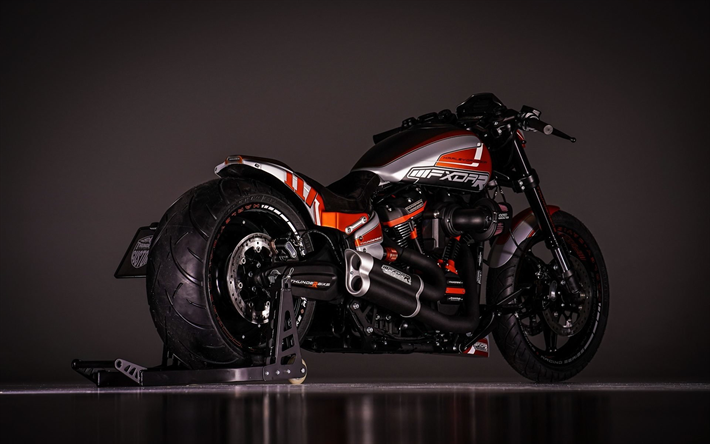 Harley-Davidson FXDR, 2019, motocicletas Custom, Thunderbike, FXDRR, motos tuning, estadounidense de motocicletas Harley-Davidson