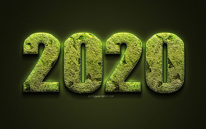 2020 Anno, Concetti, erba verde di lettere, di erba, di arte, di Felice Nuovo Anno 2020, arte creativa, 2020 sfondo Verde, 2020 concetti, 2020, ecologia, ambiente