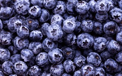 blueberry texture, les baies de la texture, arri&#232;re-plan avec les bleuets, la texture des aliments, les bleuets