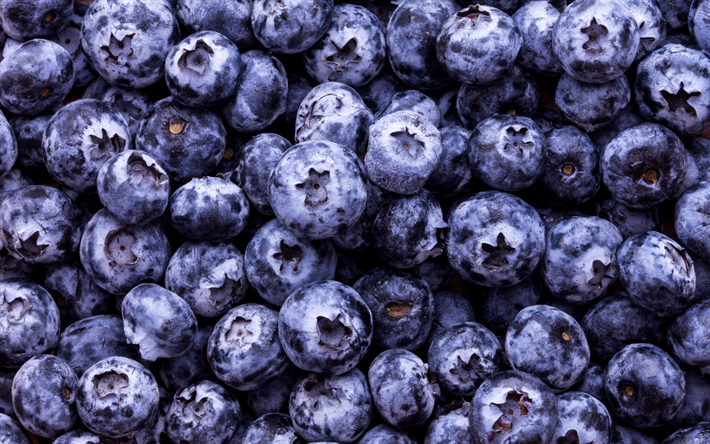 blueberry textura, bagas de textura, fundo com mirtilos, alimentos de textura, mirtilos