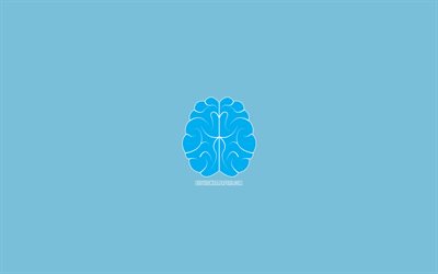 blue brain, 4k, l&#39;esprit du concept, minimal, cr&#233;atif, fond bleu, le cerveau, l&#39;intelligence, les math&#233;matiques