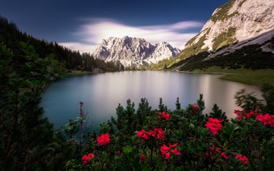 Seebensee, montagna, lago, sera, tramonto, paesaggio di montagna, di Mieming, Gamma, Tirolo, Austria
