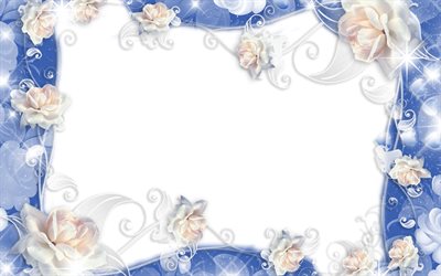 rosas brancas quadro, 4k, floral conceitos, floral quadros, fundo branco, flores brancas, azul floral moldura