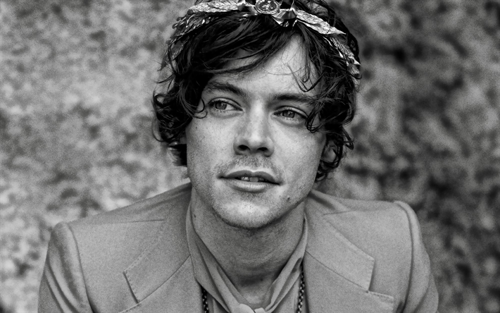 Harry Styles, brittil&#228;inen laulaja, muotokuva, photoshoot, yksiv&#228;rinen, british t&#228;hti, Harry Edward Styles