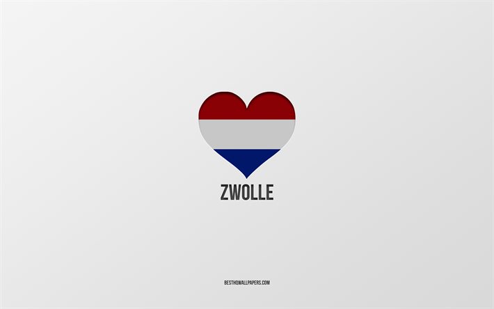 J&#39;aime Zwolle, villes n&#233;erlandaises, Jour de Zwolle, fond gris, Zwolle, Pays-Bas, coeur drapeau n&#233;erlandais, villes pr&#233;f&#233;r&#233;es, Love Zwolle
