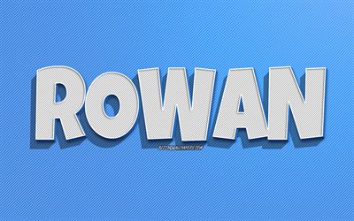 Rowan, blue lines background, wallpapers with names, Rowan name, male names, Rowan greeting card, line art, picture with Rowan name