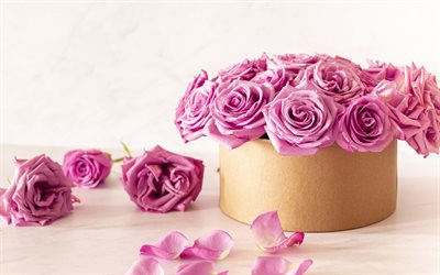 kartong med rosor, lila rosor, pappersl&#229;da, present med rosor, presentf&#246;rpackning med rosor, presentf&#246;rpackning, rosor