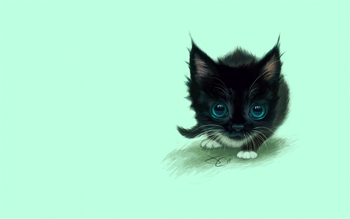 黒猫, 子猫, 最小限の, かわいい動物たち, 猫