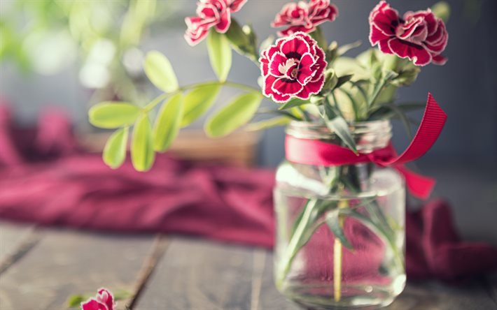 purple carnations, glass jar with flowers, carnations in a jar, carnations, beautiful flowers
