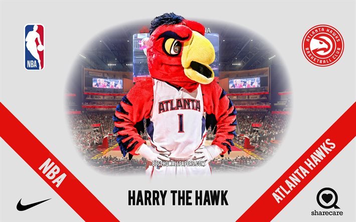 Harry the Hawk, Atlanta Hawks maskot, NBA, portre, ABD, Atlanta Hawks, basketbol, State Farm Arena, Atlanta Hawks logosu