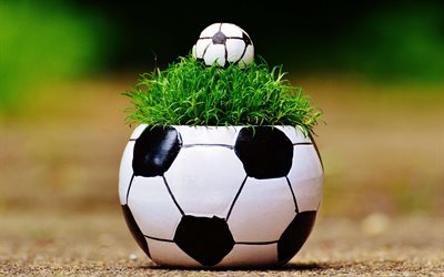soccer ball, pot, green grass, football concept, 4k