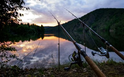 fishing concepts, fishing rods, river, morning, Czech Republic, Vltava River
