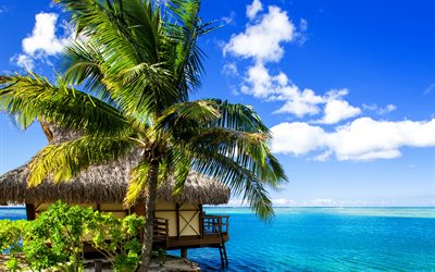 Polin&#233;sia Francesa, ilha tropical, palmeiras, oceano, viagens de ver&#227;o, lagoa azul, Bora-Bora
