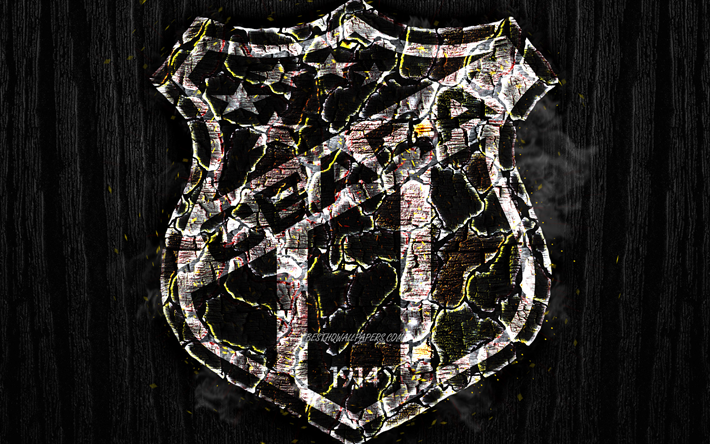 Ceara FC, quemado logotipo de brasil, Seria Un negro fondo de madera de brasil, club de f&#250;tbol, Cear&#225; SC, el grunge, el f&#250;tbol, el logotipo de Cear&#225;, el fuego de la textura, Brasil