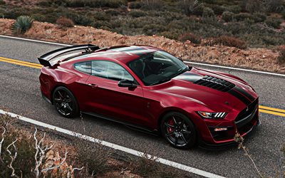 Ford Mustang Shelby GT500, 2019, red sports car, side view, exterior, new red Mustang, tuning Mustang, american sports cars, Ford