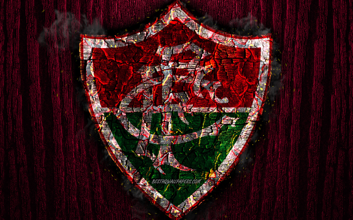 Fluminense FC, scorched logo, Brazilian Seria A, purple wooden background, brazilian football club, Fluminense, grunge, football, soccer, Fluminense logo, fire texture, Brazil