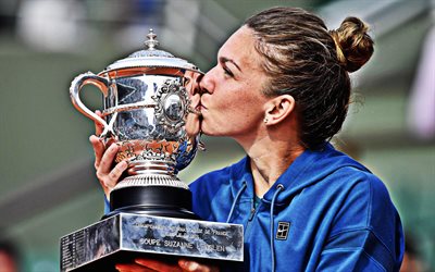 Simona Halep, Romanian tennis player, WTA, silver cup, France, award, tennis