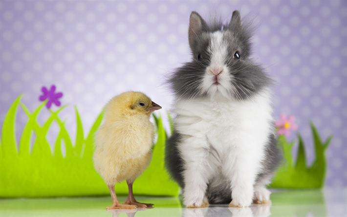 gray fluffy rabbit, little chicken, Easter, spring, decoration, cute animals