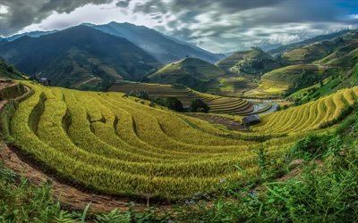 Bali, rice fields, mountains, Asia
