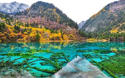 4k, Parc National de Jiuzhaigou, automne, chinois rep&#232;res, for&#234;t, lac bleu, de l&#39;Asie, de la Chine, de Jiuzhaigou