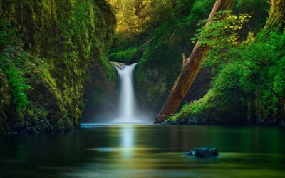 bela cachoeira, lago, rochas, floresta, folhas verdes, cachoeira, EUA