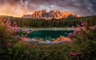 Сarezza lake, Mount Latemar, mountain lake, mountains, evening, forest, pink flowers, Dolomites, sunset, Italy, Bolzano