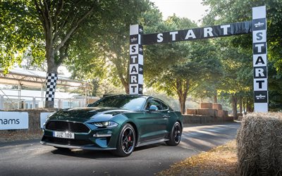 Ford Mustang Bullitt, 2018, verde coup&#233; sportiva, sport americani automobili, nuovo verde Mustang, Goodwood, Ford