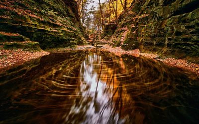 Escuro Canyon, outono, rio de montanha, folhas amarelas, rochas, floresta, Baraboo, Wisconsin, EUA