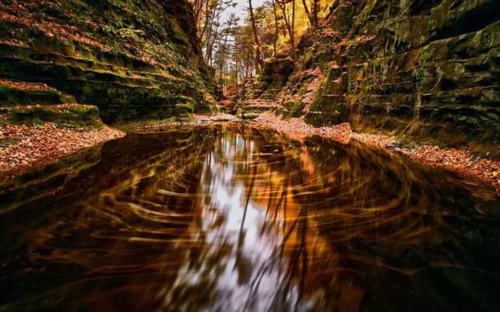 Escuro Canyon, outono, rio de montanha, folhas amarelas, rochas, floresta, Baraboo, Wisconsin, EUA