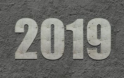 2019 Year, stone letters, the inscription, 2019 concepts, New 2019 Year, creative art, gray stone background