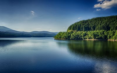 Romania, summer, lake, forest, Europe