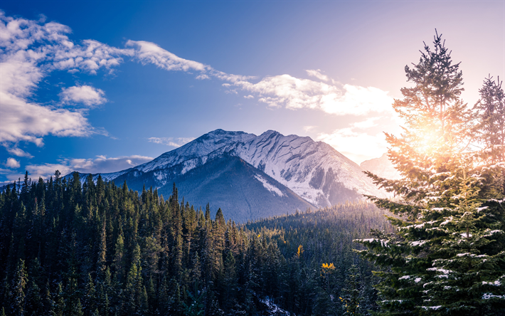 4k, Banff, inverno, montagna, foresta, Parco Nazionale di Banff, Canada, Alberta