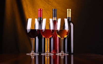 bicchieri di vino, vino diverso, concetti, bottiglie di vino, cantina, vino rosso