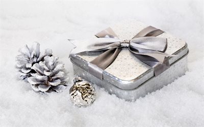 New Year, 2018 concepts, snow, winter, cones, gift, iron box, silver silk bow