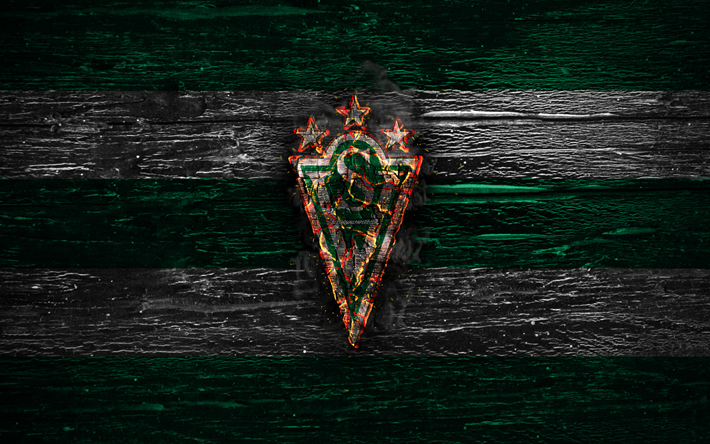 Santiago Wanderers FC, fire logo, Chile Primera Division, green and white lines, Chilean football club, grunge, CD Santiago Wanderers, football, soccer, Santiago Wanderers logo, wooden texture, Chile