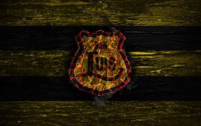 San Luis FC, fire logo, Chile Primera Division, yellow and black lines, Chilean football club, grunge, football, soccer, San Luis logo, wooden texture, Chile