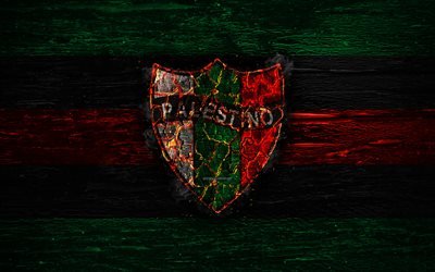 Palestino FC, fire logo, Chile Primera Division, green and red lines, Chilean football club, grunge, CD Palestino, football, soccer, Palestino logo, wooden texture, Chile