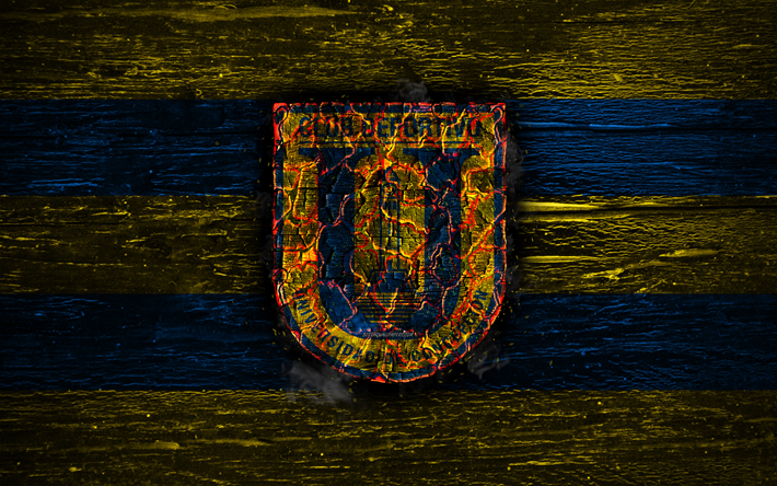 Universidad de Concepcion FC, yangın logo, Şili, Lig, sarı ve mavi &#231;izgiler, Şili Futbol Kul&#252;b&#252;, grunge, futbol, Princesa de la Concepcion logo, ahşap doku