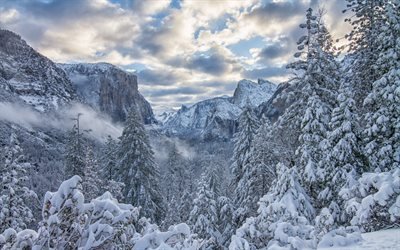 winter landscape, mountains, forest, snow covered trees, snow, Yosemite Valley, Yosemite National Park, Sierra Nevada, California, USA