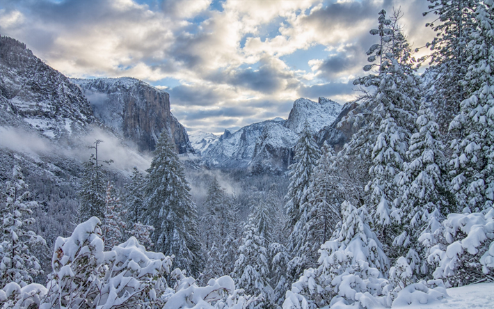 paysage d&#39;hiver, les montagnes, la for&#234;t, la neige a couvert des arbres, la neige, la Vall&#233;e de Yosemite, Parc National de Yosemite, Sierra Nevada, Californie, &#233;tats-unis