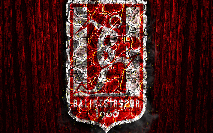 Balikesirspor, poltetun logo, Turkin 1 Lig, punainen puinen tausta, turkkilainen jalkapalloseura, TFF First League, FC Adanaspor, grunge, jalkapallo, Balikesirspor logo, palo-rakenne, Turkki