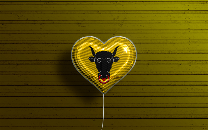 I Love Uri, 4k, realistiset ilmapallot, keltainen puinen tausta, Urin p&#228;iv&#228;, Sveitsin kantonit, Urin lippu, Sveitsi, ilmapallo lipulla, Uri
