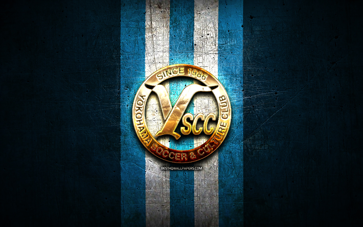 YSCC Yokohama FC, kultainen logo, J3 League, sininen metalli tausta, jalkapallo, japanilainen jalkapalloseura, YSCC Yokohama logo, YSCC Yokohama