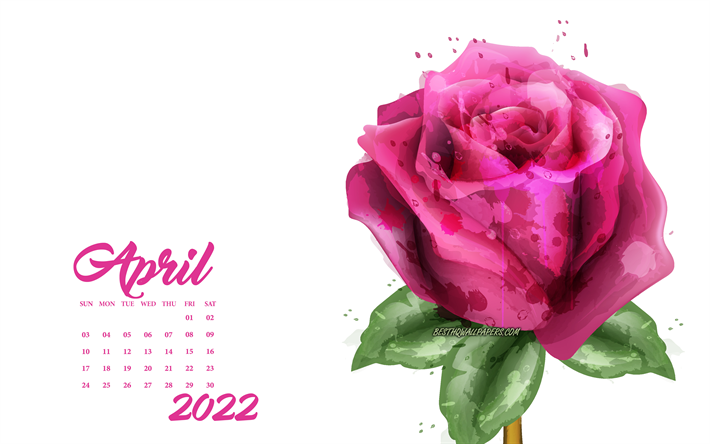 2022 huhtikuun kalenteri, vaaleanpunainen grunge ruusu, 2022 kev&#228;&#228;n kalenterit, 2022 konseptit, ruusut, huhtikuu 2022 kalenteri