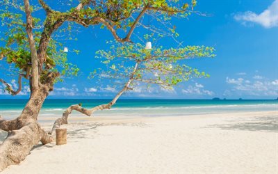 tropiska &#246;n, beach, romantiska platser, vit sand, seascape, sommar, koppla av begrepp, rekreation, resor