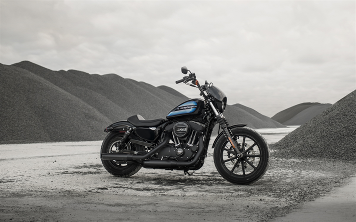 Harley-Davidson Iron 1200, 2018 moto, superbike, Ferro da stiro 1200, moto americane, Harley-Davidson