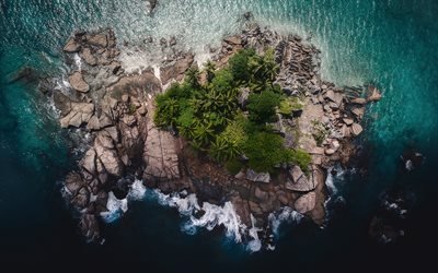 small island, ocean, top view, palm trees, tropical islands, waves